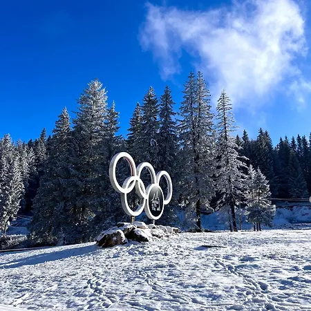 Apartament Anita 203